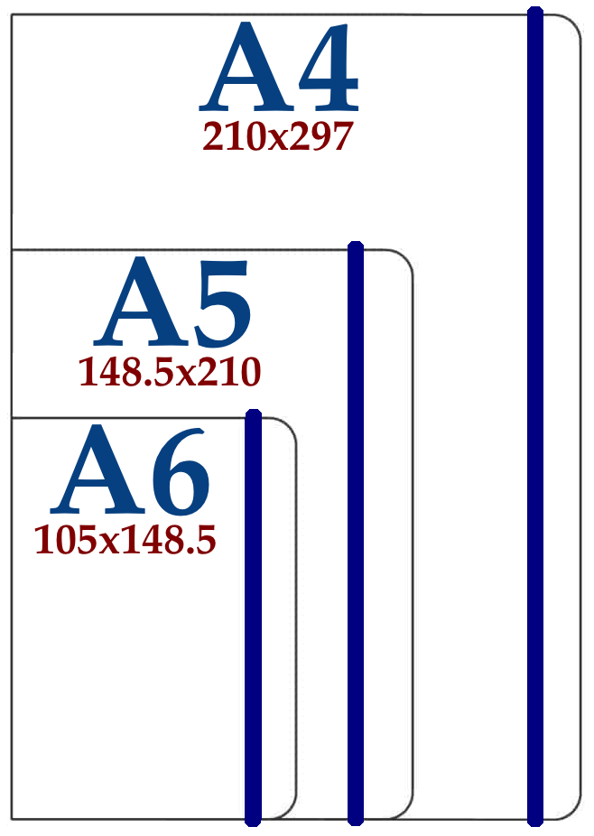 Assessment
