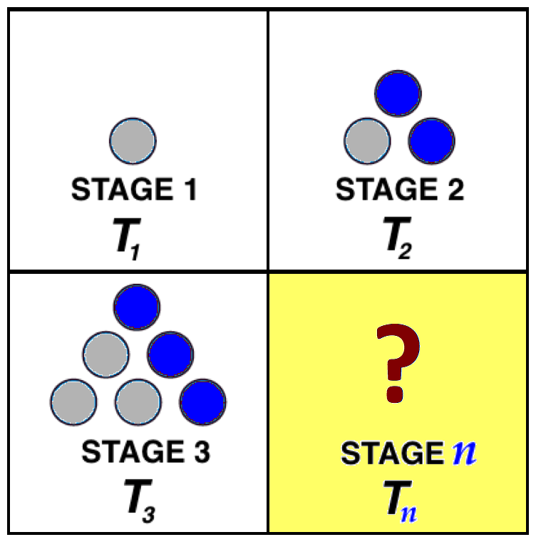 Assessment